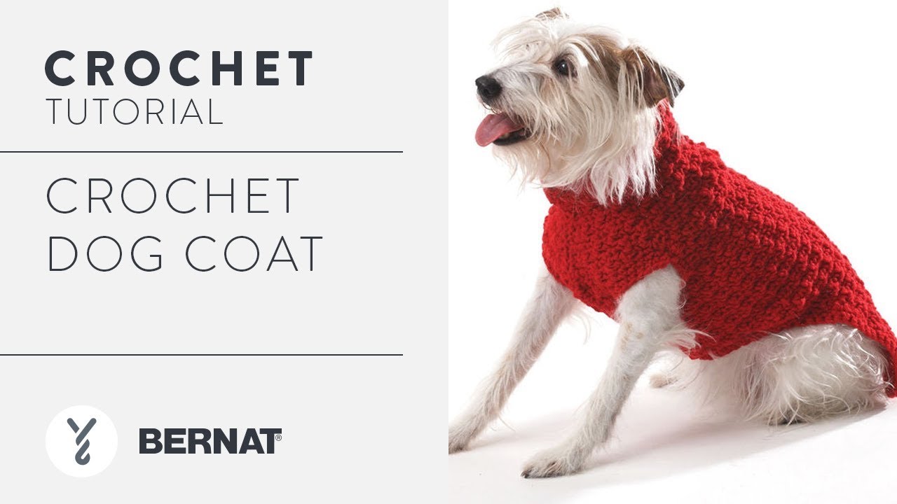 Crochet a Dog Coat | Free Pattern Tutorial