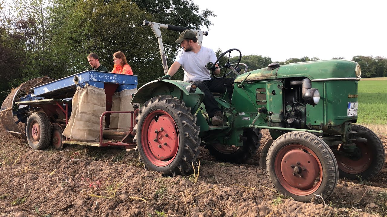 Deutz D15 im Einsatz mit Samro Kartoffelroder bei der Kartoffelernte 🥔🥔🥔
