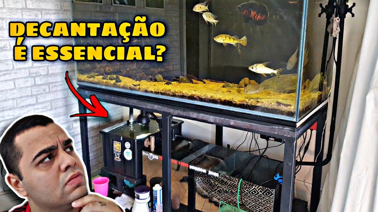 SUMP COM OU SEM DECANTA&Ccedil;&Atilde;O?