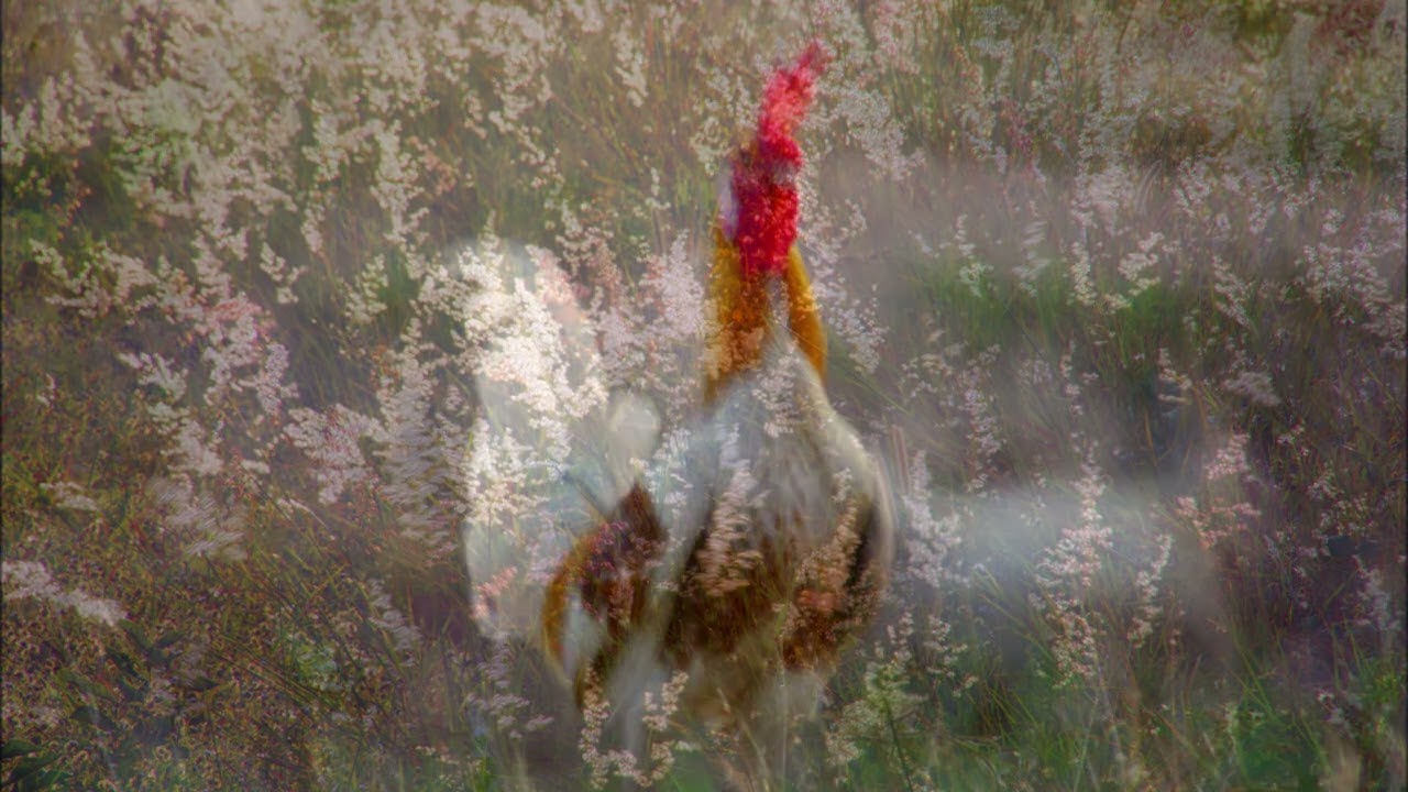 สายสัมพันธ์ 2569 ตอนที่หนึ่ง ชัยภูมิ(วีดีโอที่สอง)