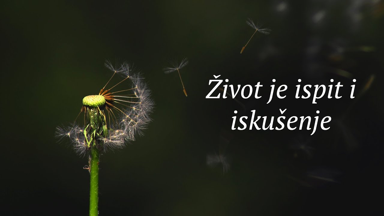 Život je ispit i iskušenje | Šejh Salih Alu Šejh