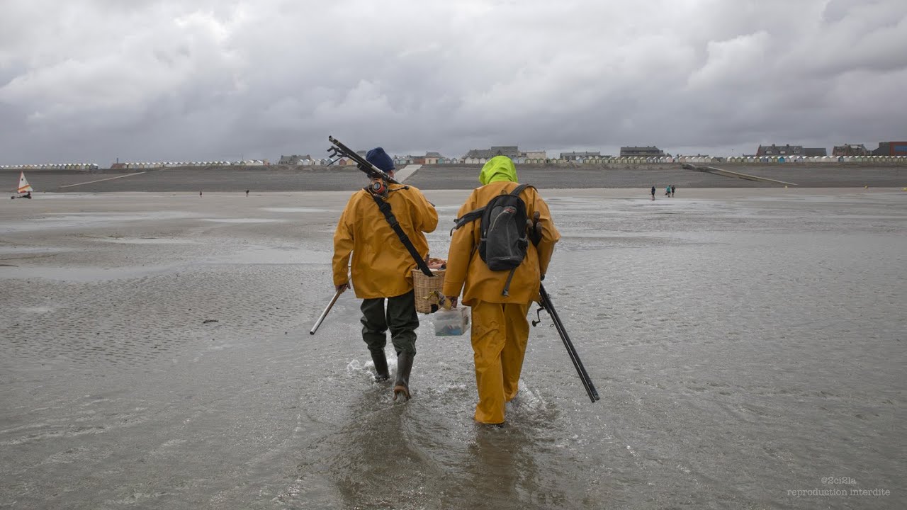 Pour pêcher le bar à Cayeux-sur-Mer, on attend le gros temps !