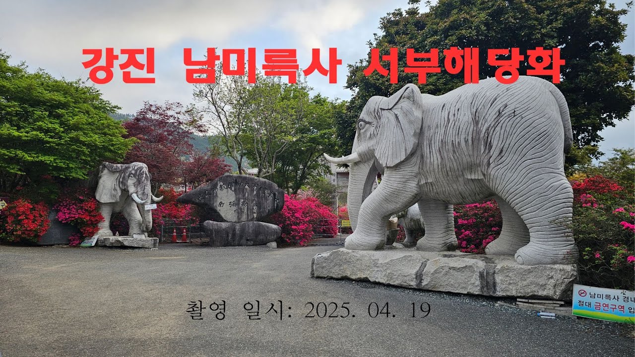 강진 남미륵사 서부해당화 길