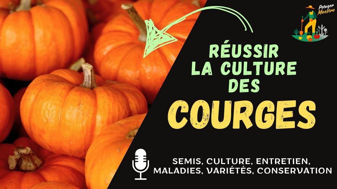 Réussir la culture des courges dans votre potager