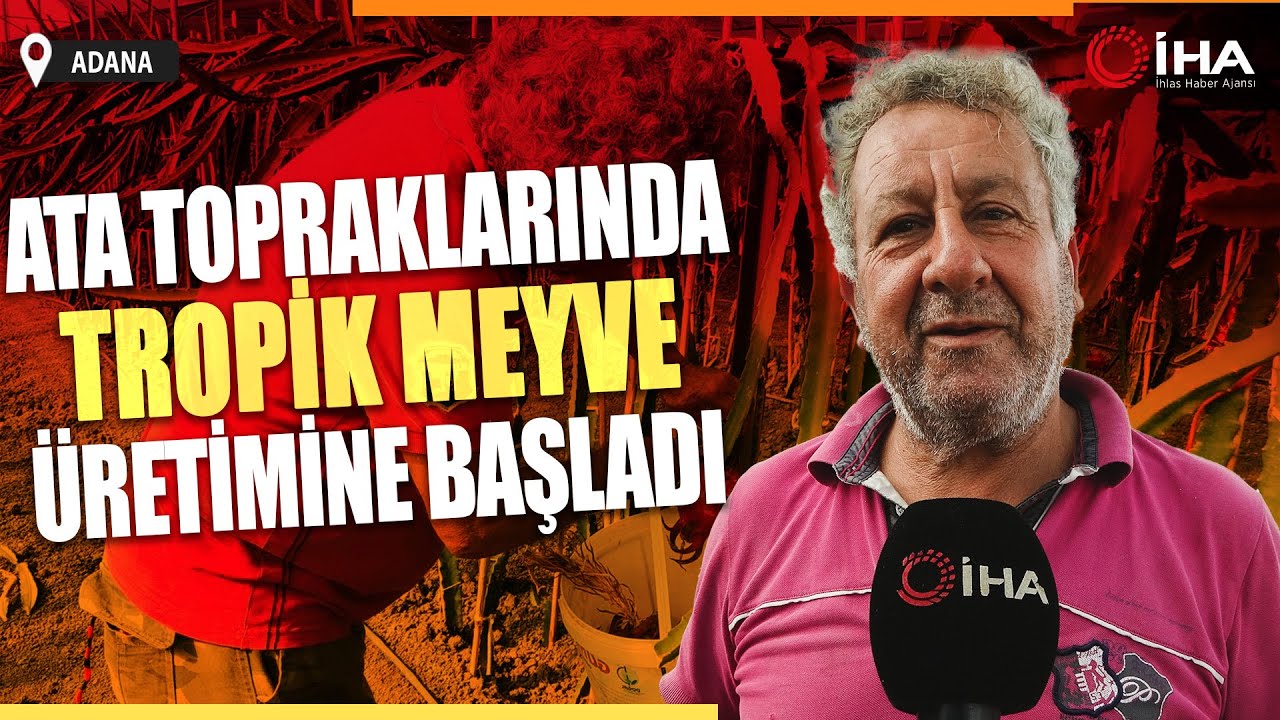 Şehir Hayatından Kaçtı, Ejder Meyvesi Üretimine Başladı