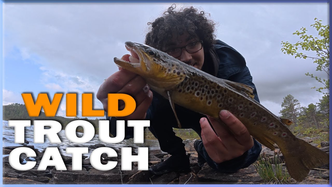 You Won’t Believe What I Caught at This Lake!