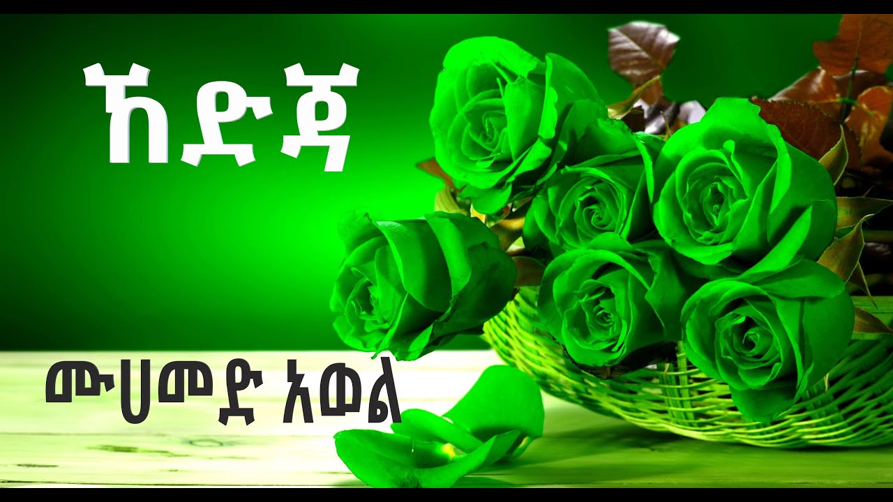 መህመድ አወል ሀምዛ   ኸድጃ   mohammed awol  hedija