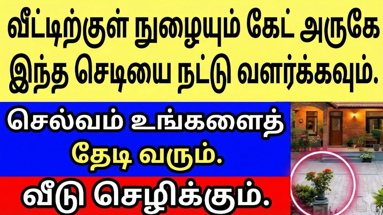 வீட்டு நுழைவாயில் அருகே வளர்க்கப்படும் இந்த செடியின் வாஸ்து முக்கியத்துவம் மற்றும் பாரம்பரிய 