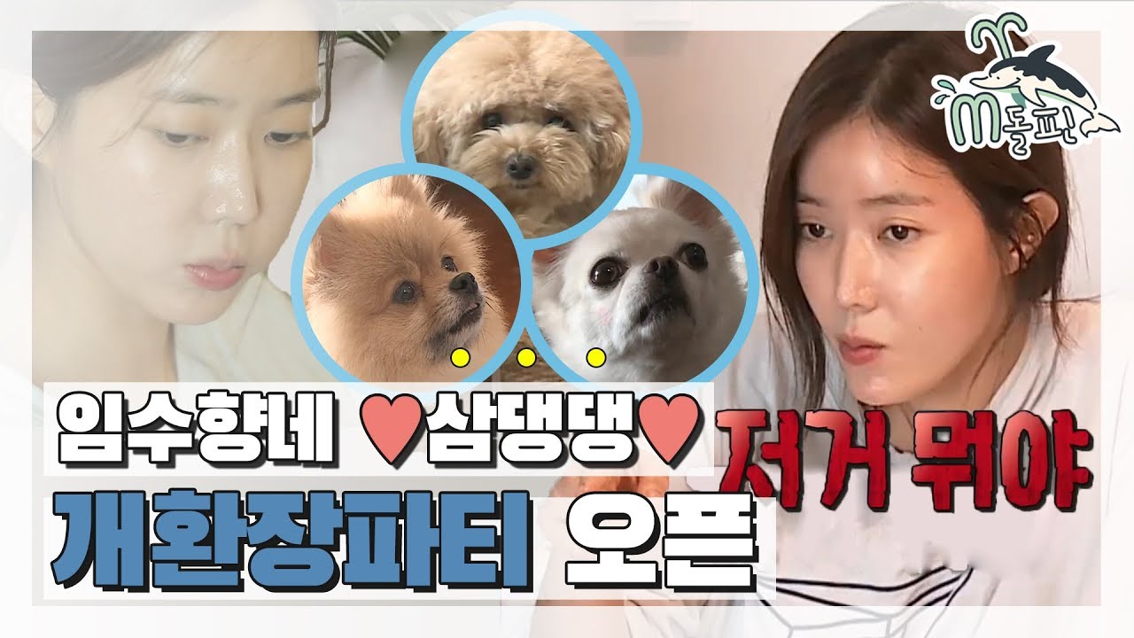 [엠돌핀] 우당탕탕 아라리네 수향이의 하루๑•ิㅅ•ั๑ l 나혼자산다ㅣ엠돌핀
