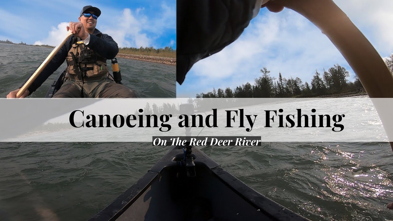 Canoeing and fly fishing Red Deer River