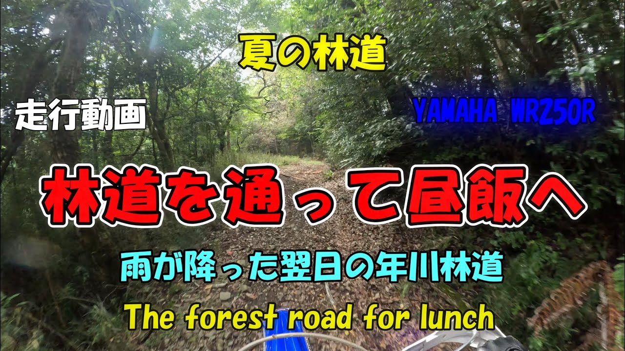 年川林道を通って昼食へ[YAMAHA WR250R]