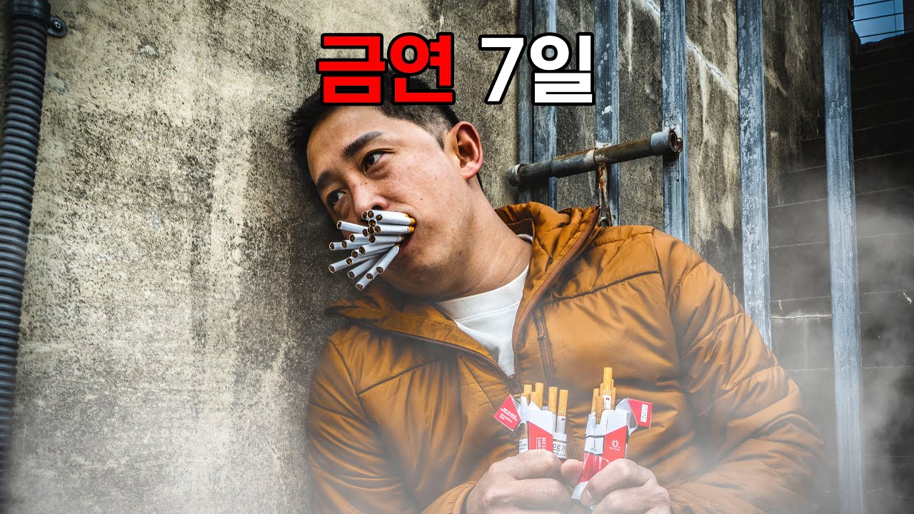 금연 7일 ｜ 19년간 핀 담배를 끊으면 생기는 일