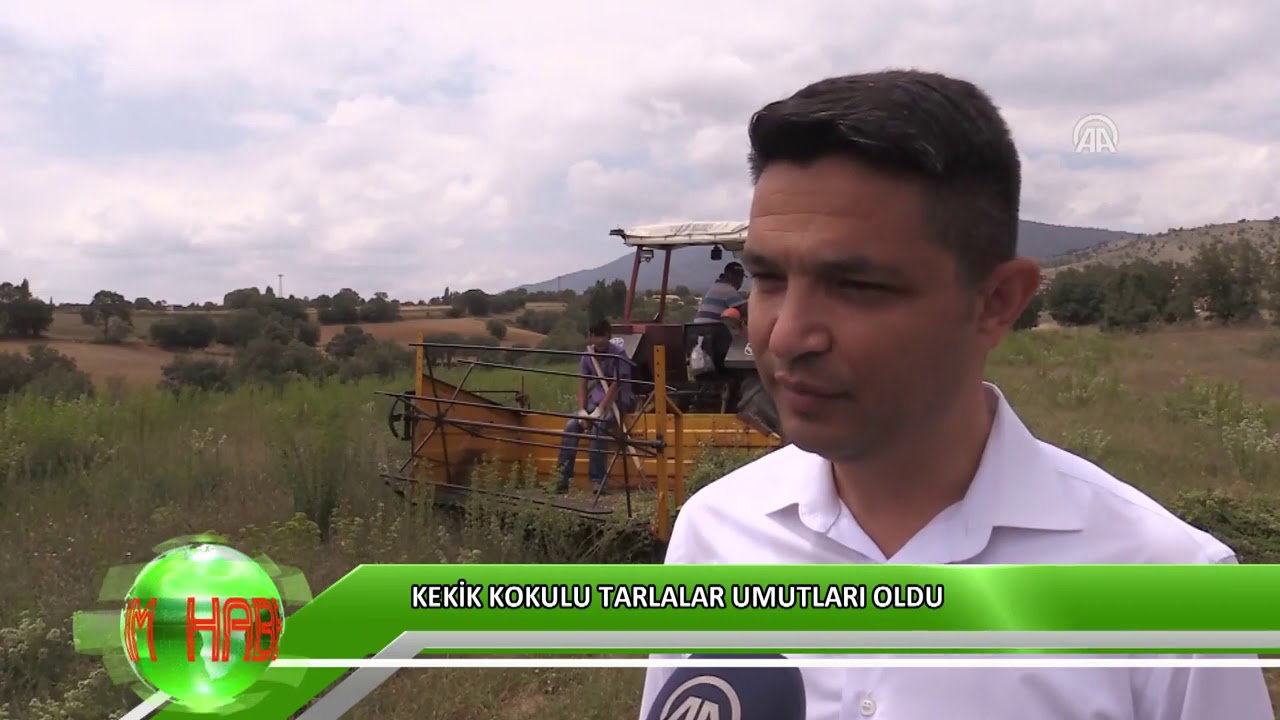 Kekik kokulu tarlalar umutları oldu
