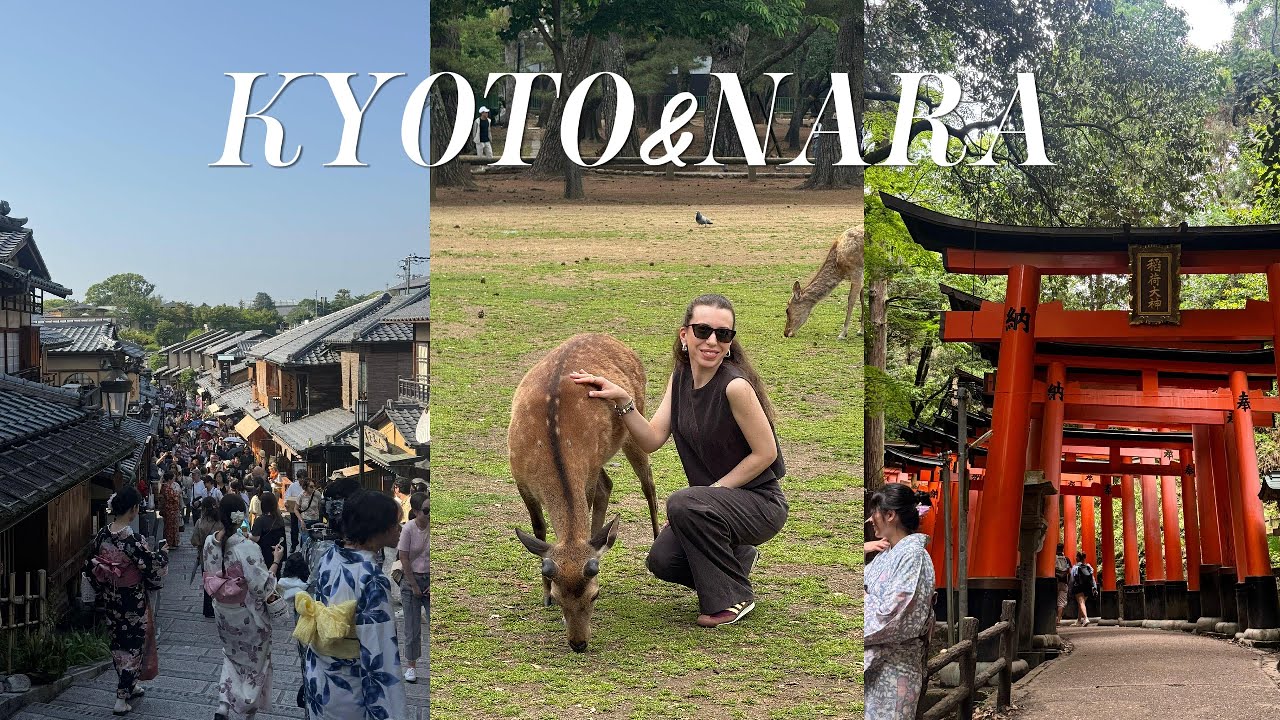 Kyoto & Nara'da Görülmesi Gereken Yerler | Tapınaklar, Geyikler ve Geleneksel Japonya 🇯🇵