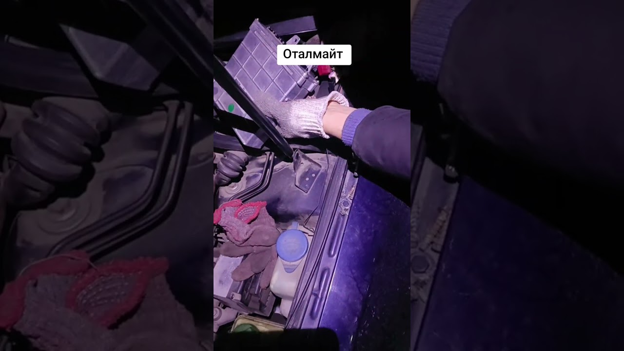 Оталмайт Өскемен ,выезд