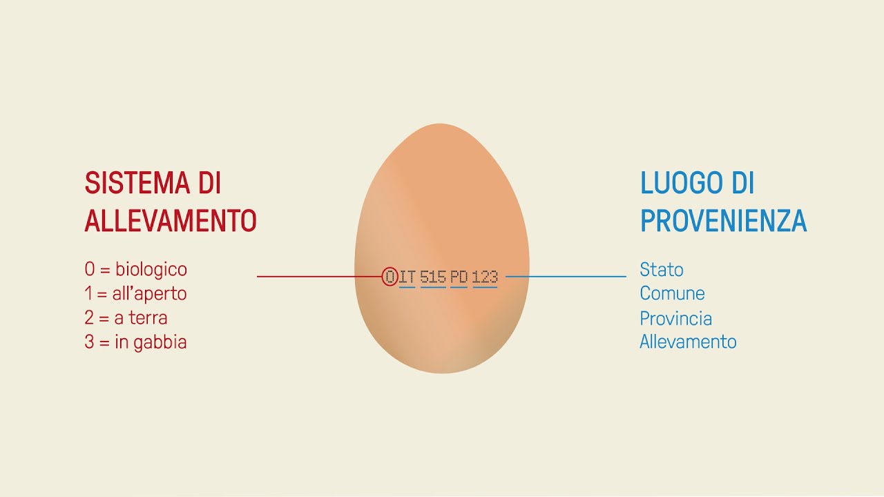 Cosa indica il codice stampato sul guscio delle uova?