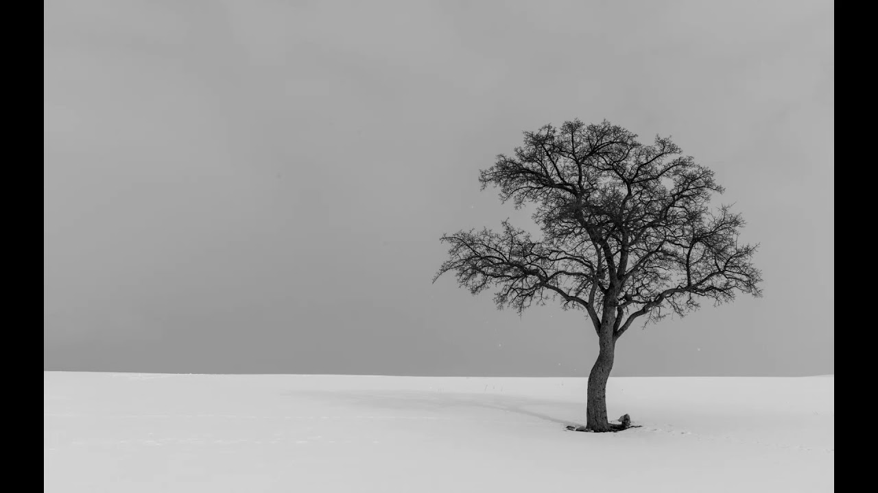 Phantom - Cold Within (2018)