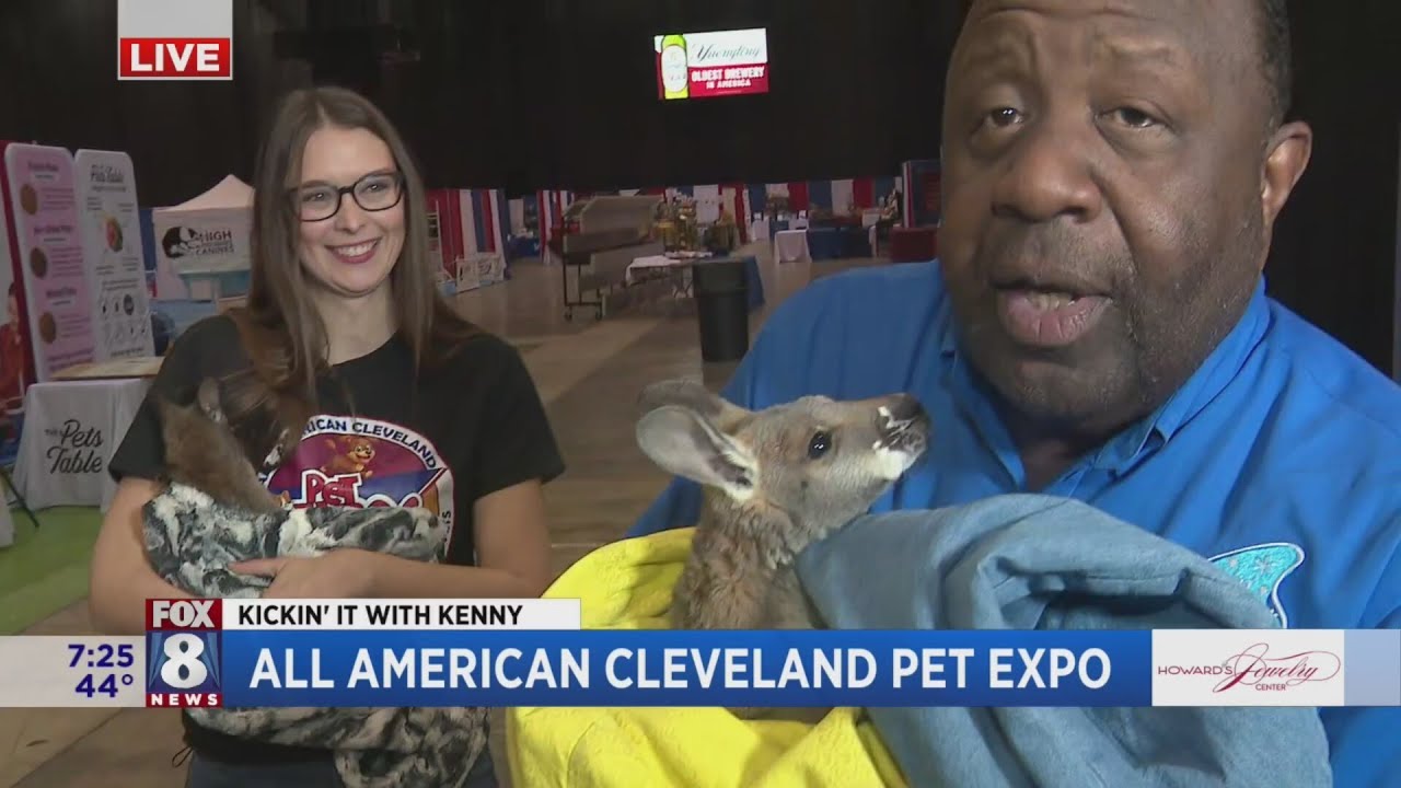 Kenny falls in love at the All American Cleveland Pet Expo