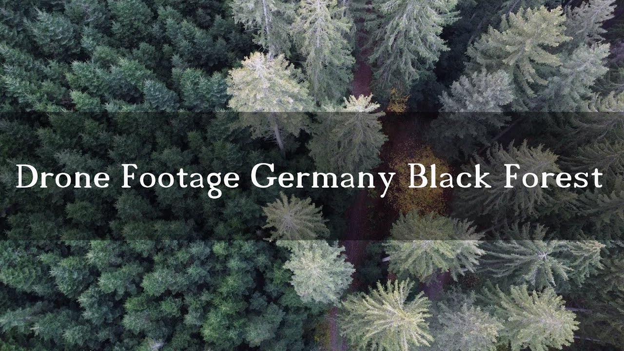 2K Drone Footage of German Black Forest
