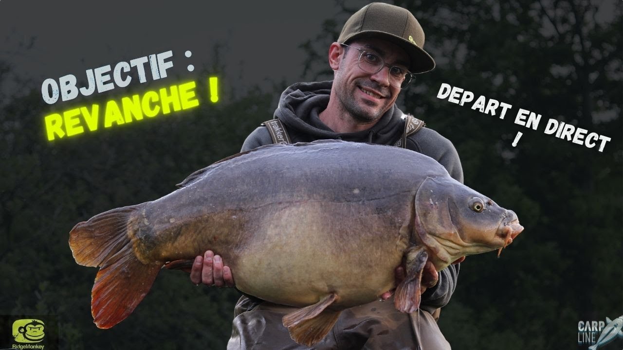 Objectif : REVANCHE // Départ en direct // Carpe