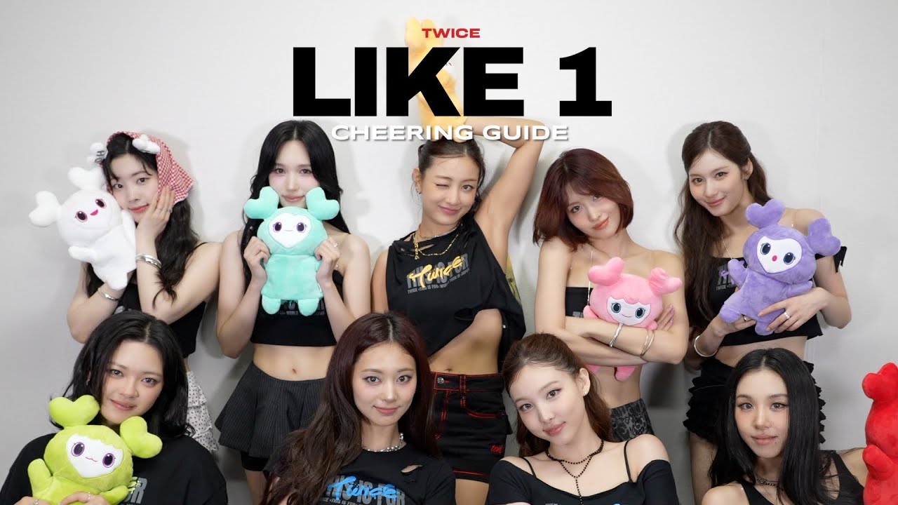 TWICE「Like 1」 Cheering Guide