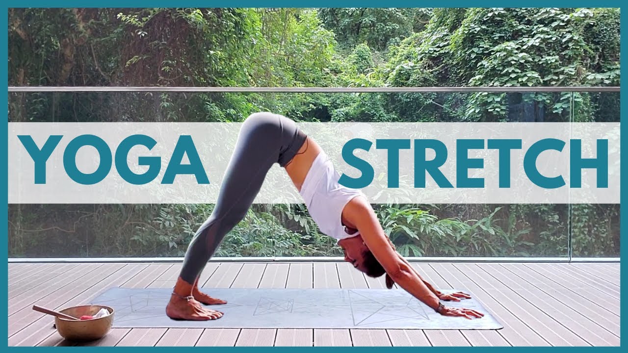 15 Min Morning Yoga Full Body Stretch | Beginners Yoga