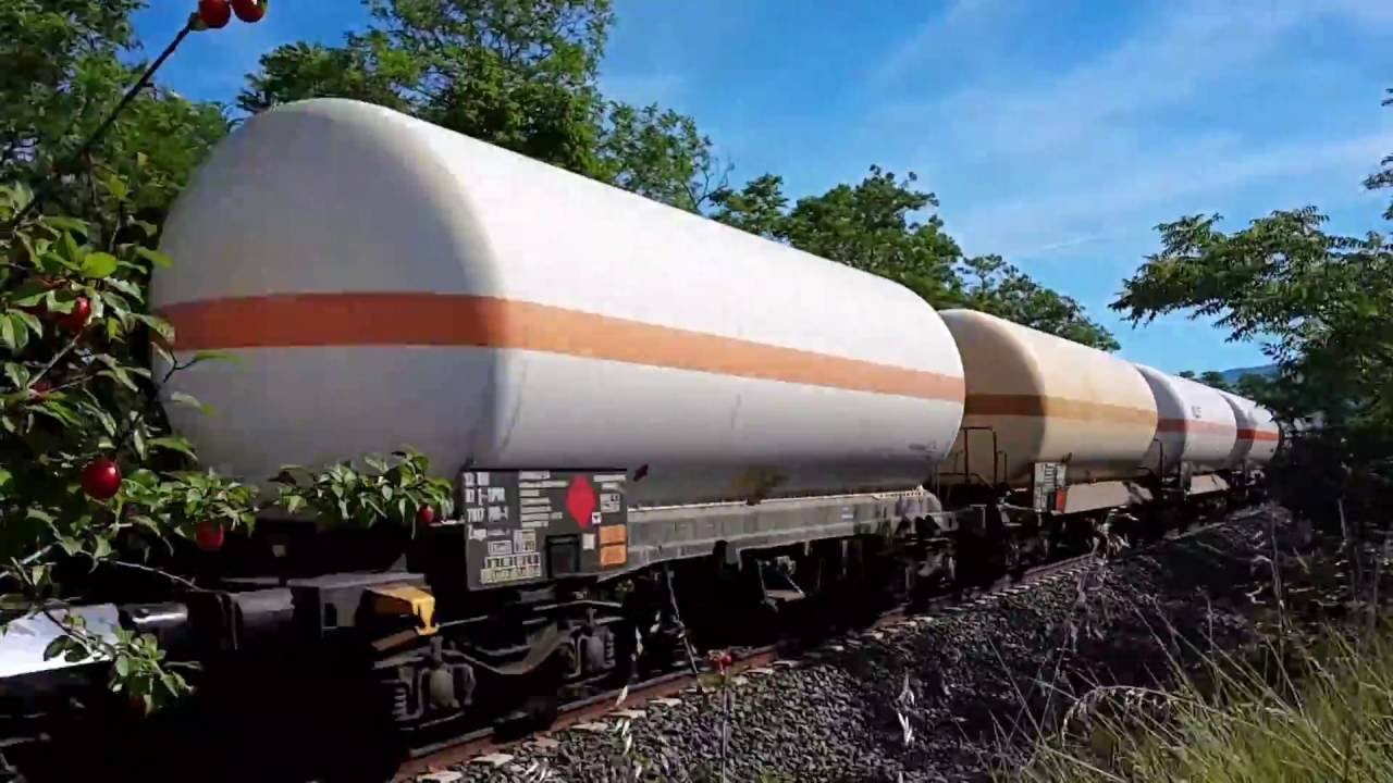 Trains du 04 - Petit reportage dans les Alpes de Haute Provence