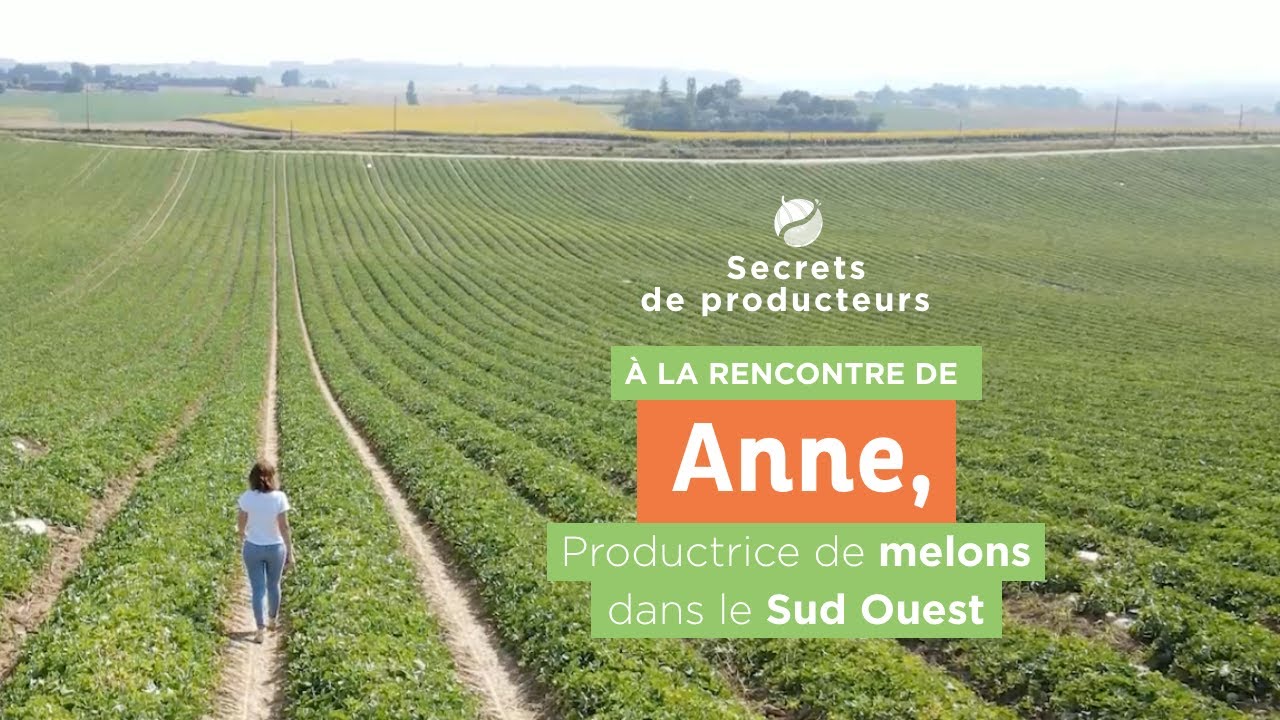 Secrets de producteurs : Anne, productrice de melon dans le Sud Ouest