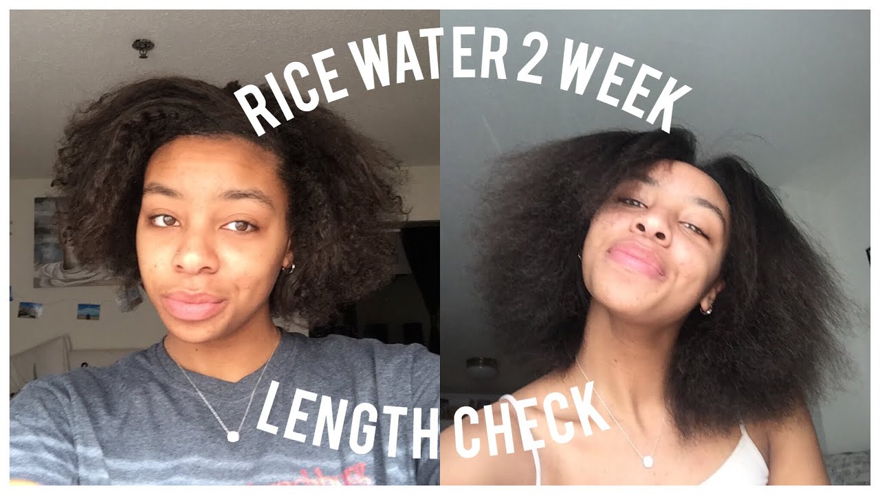 Rice Water 2 Week Update