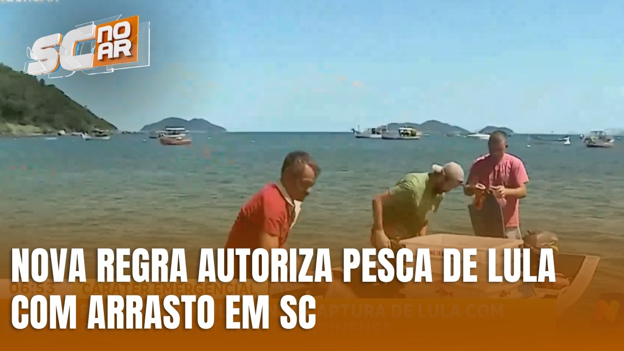 Governo publica regra para pesca de lula no litoral catarinense