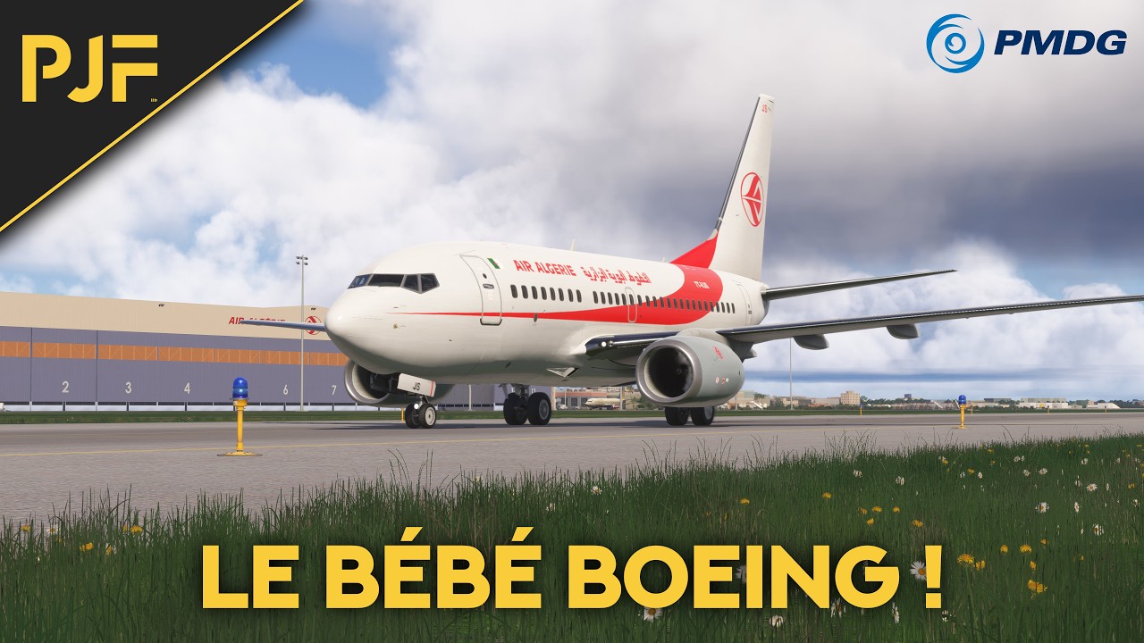 MSFS 2024 | PRESENTATION DU PMDG 737-600 ! | NOT REAL BOEING PILOT