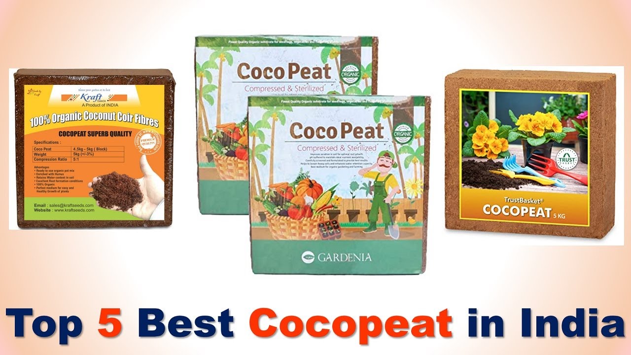 Top 5 Best Cocopeat in India 2020 | CocoPeat Block | Coco Peat Powder for All Seeds and Plants