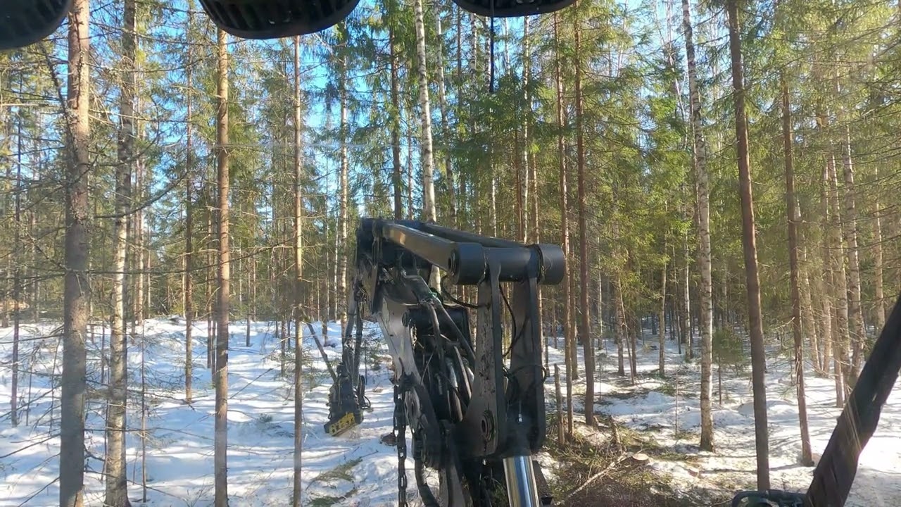 Jatkuvan kasvatuksen työskentelyä 1/3