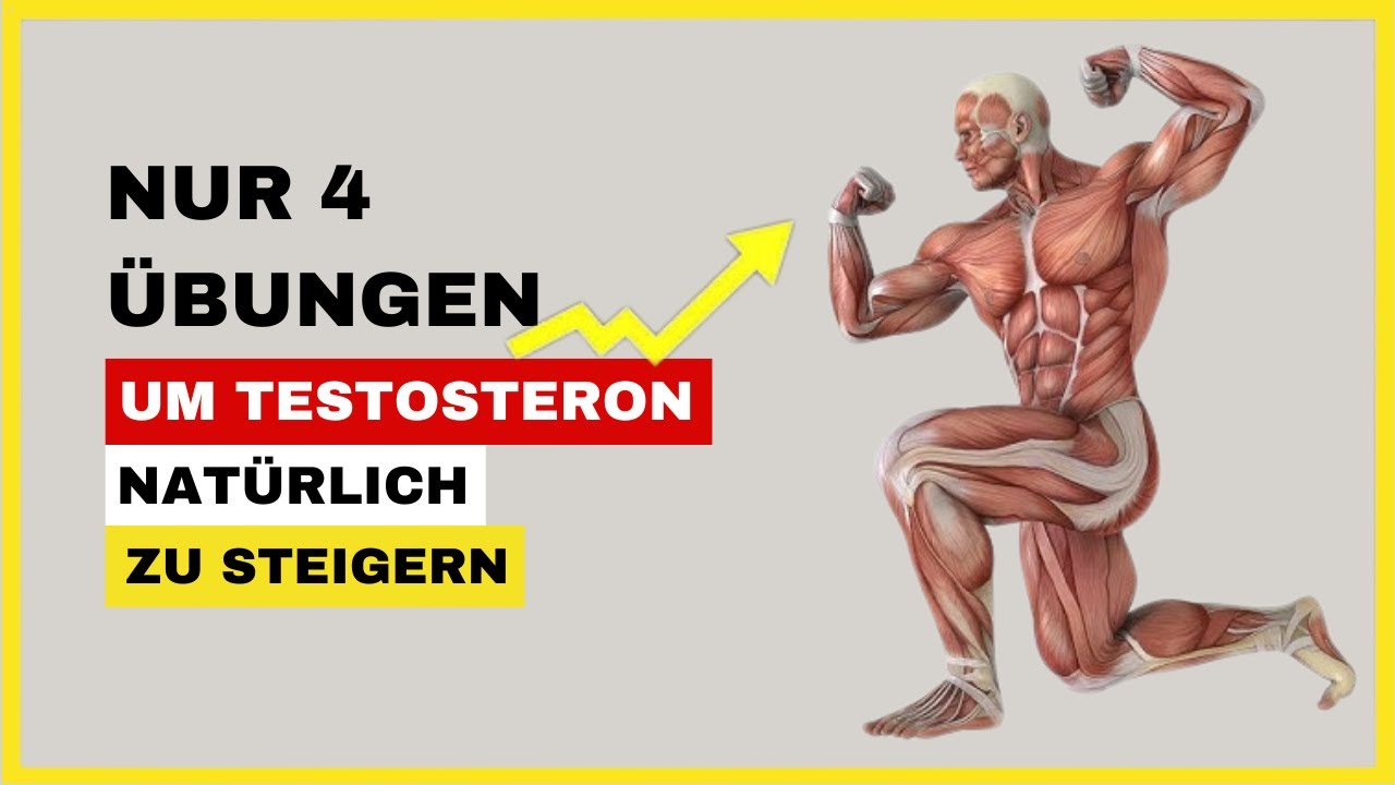 Nur 4 Übungen, um Testosteron natürlich zu steigern – ohne Pillen, nur Training!