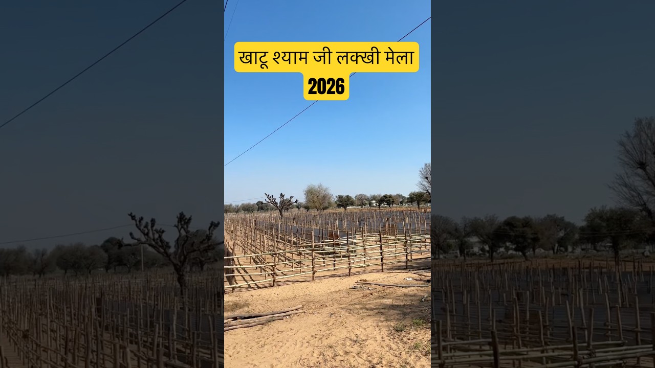 खाटू श्याम जी प्रसिद्ध लक्खी मेला 2026 |Important Update| #khatushyamji #lakhimela #mela #shyamji