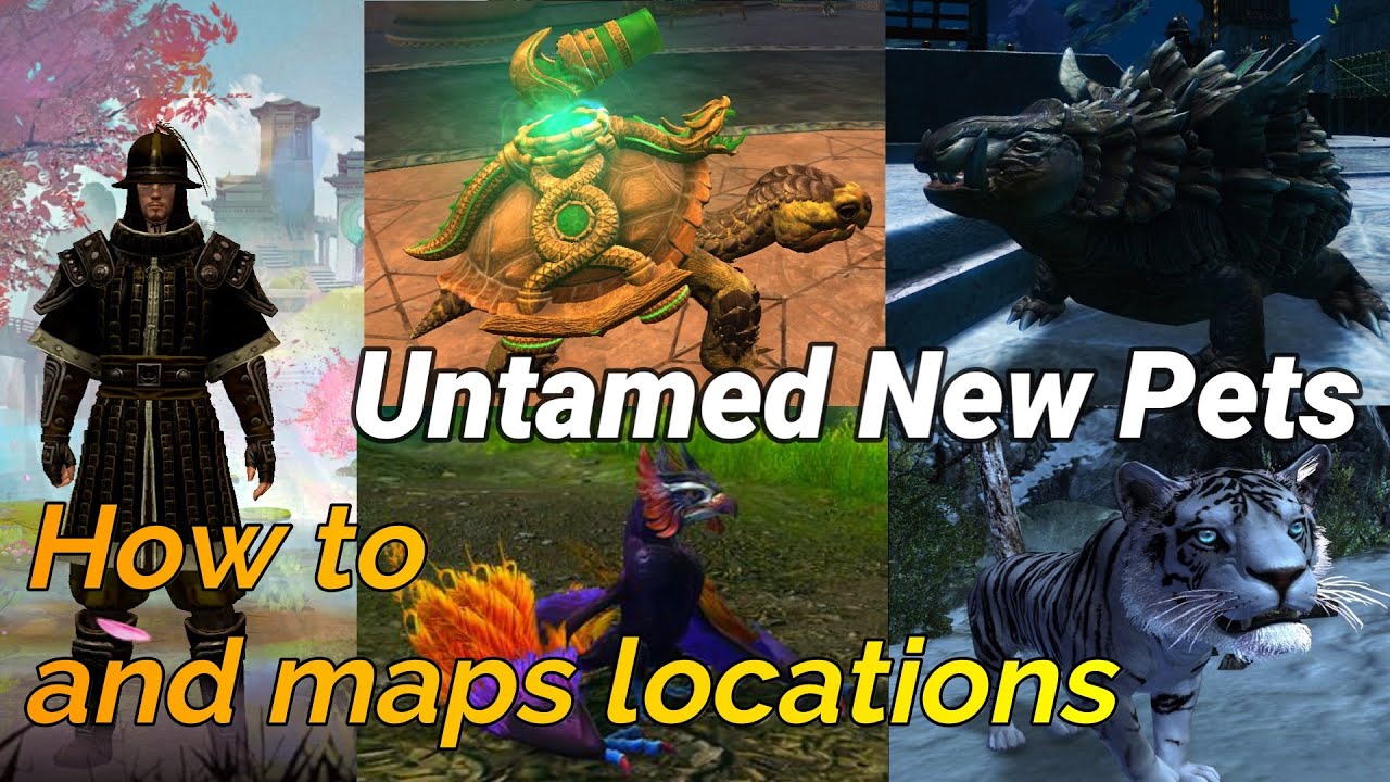 New Ranger (untamed) Pets Cantha Map locations Guide with timestamps