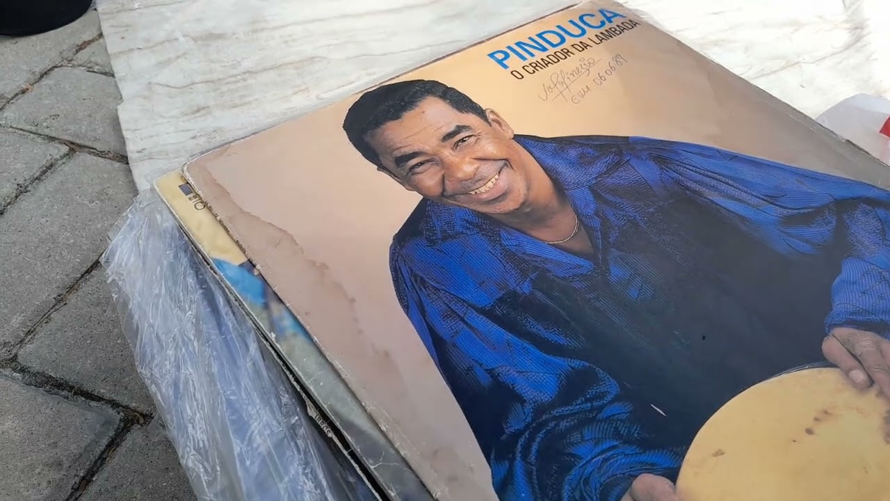 Direito do canal moeda pé de cobra 