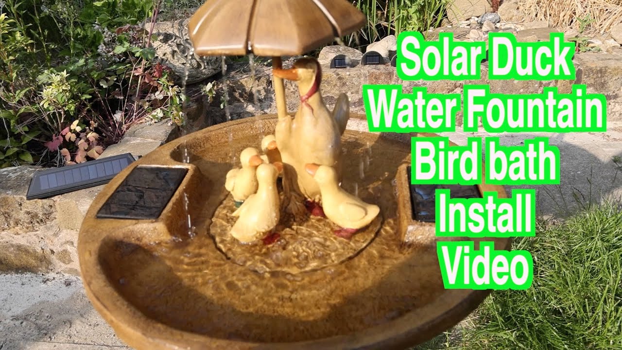 Solar duck water fountain bird bath unboxing and install video. water feature.