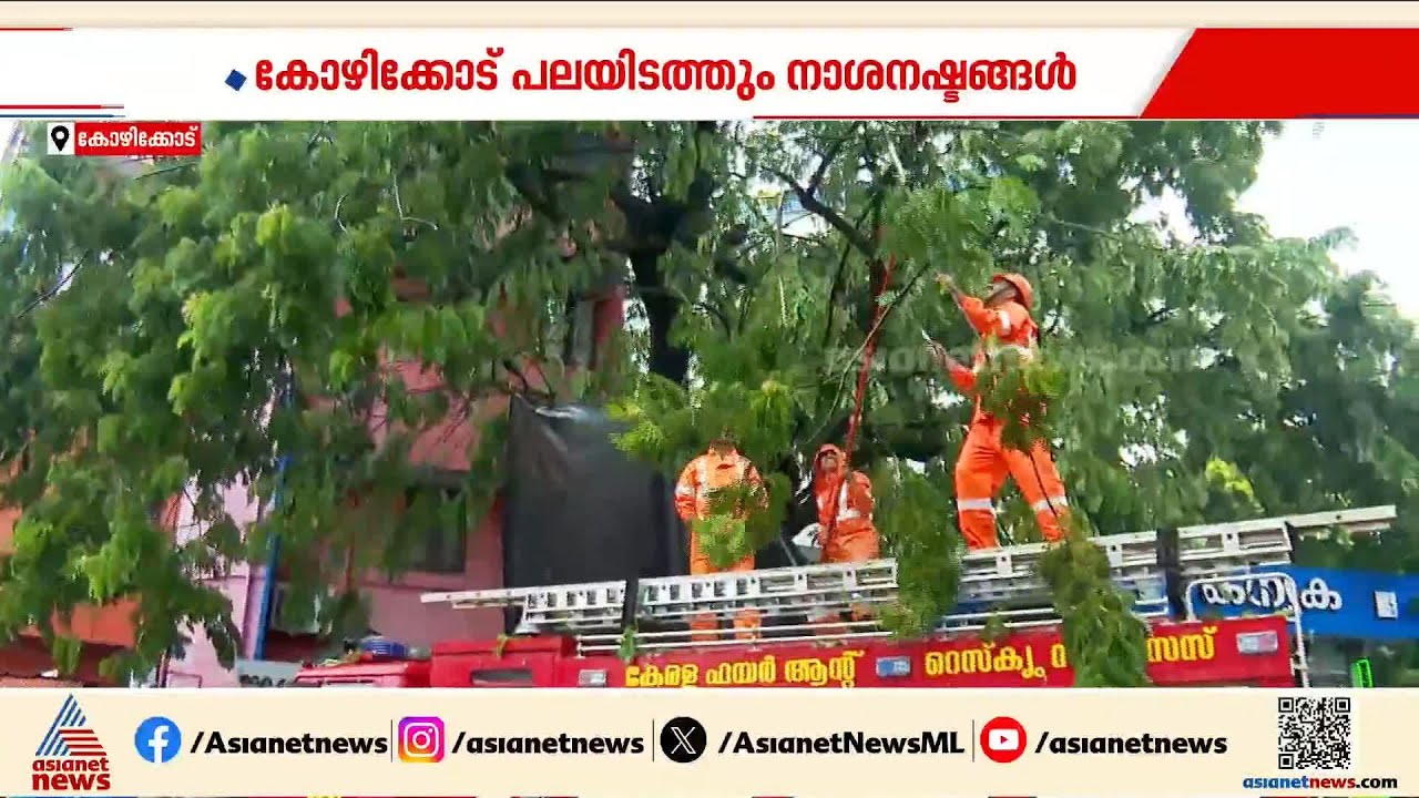 വെള്ളത്തിൽ മുങ്ങി കോഴിക്കോട്; പലയിടത്തും മരങ്ങൾ കടപുഴകി | Kozhikode | Rain