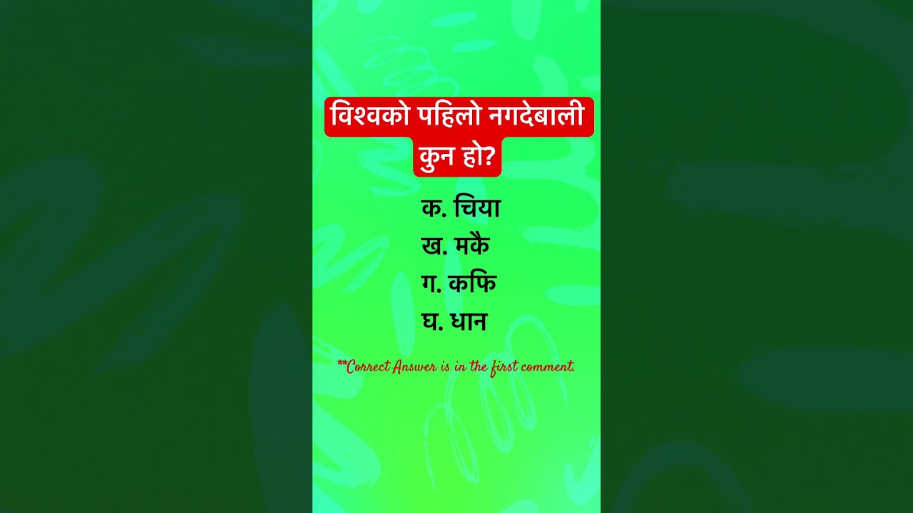Loksewa Shorts-48