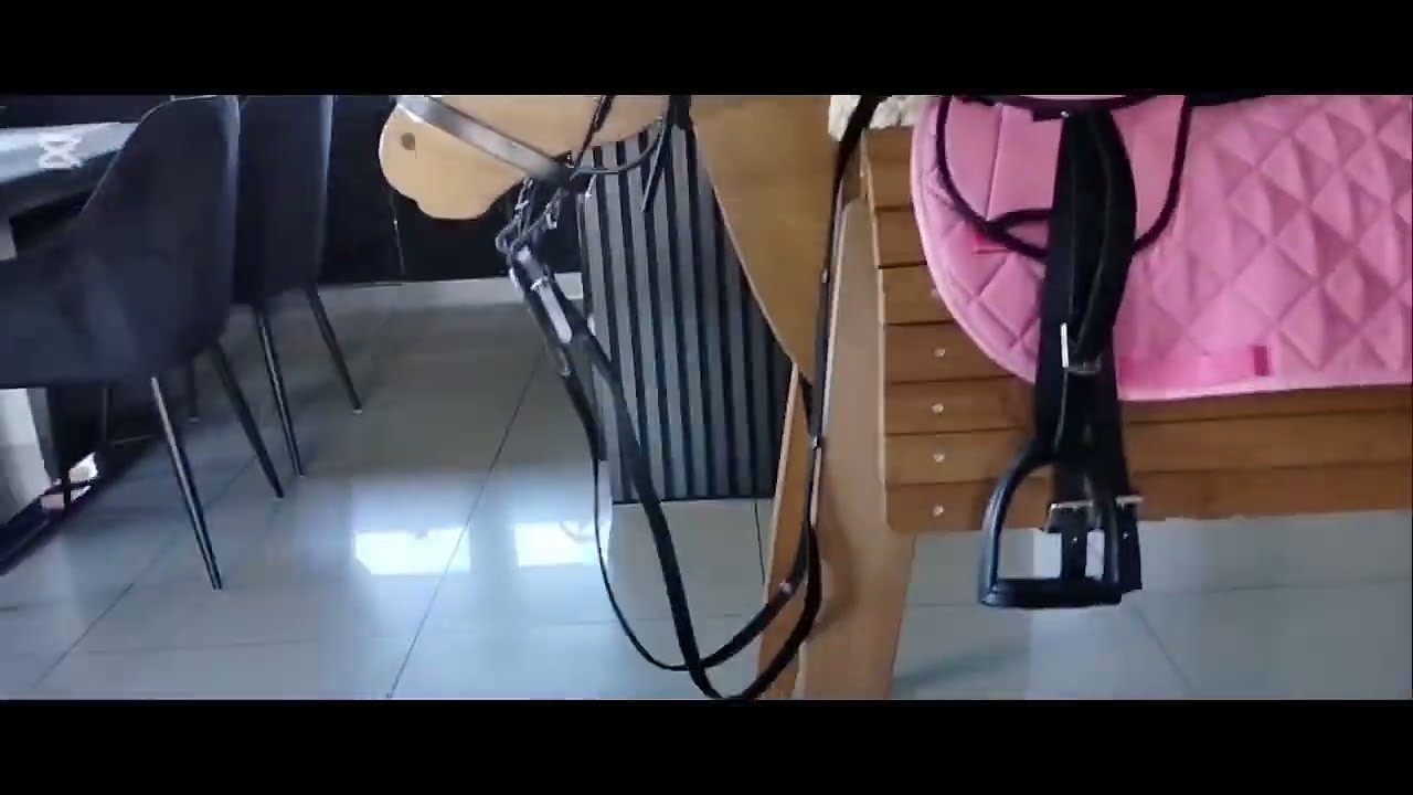 Skórzane ogłowie angielskie z nachrapnikiem zwykłym dla konia ogrodowego #hh #horse #hobbyhorse  