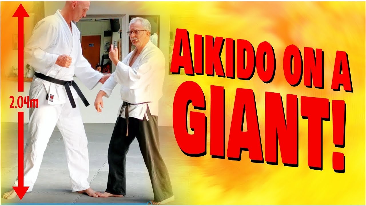 AIKIDO ON A GIANT!  Shihonage, Hamni handachi, Ikkyo