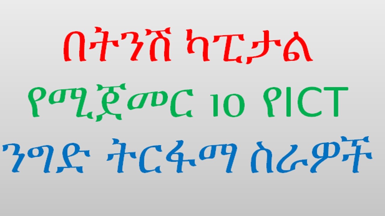10 Profitable ICT Works for Small Businesses | ለትንሽ ንግድ 10 ትርፋማ ICT ስራዎች #bytetechnotube #ICT jobs