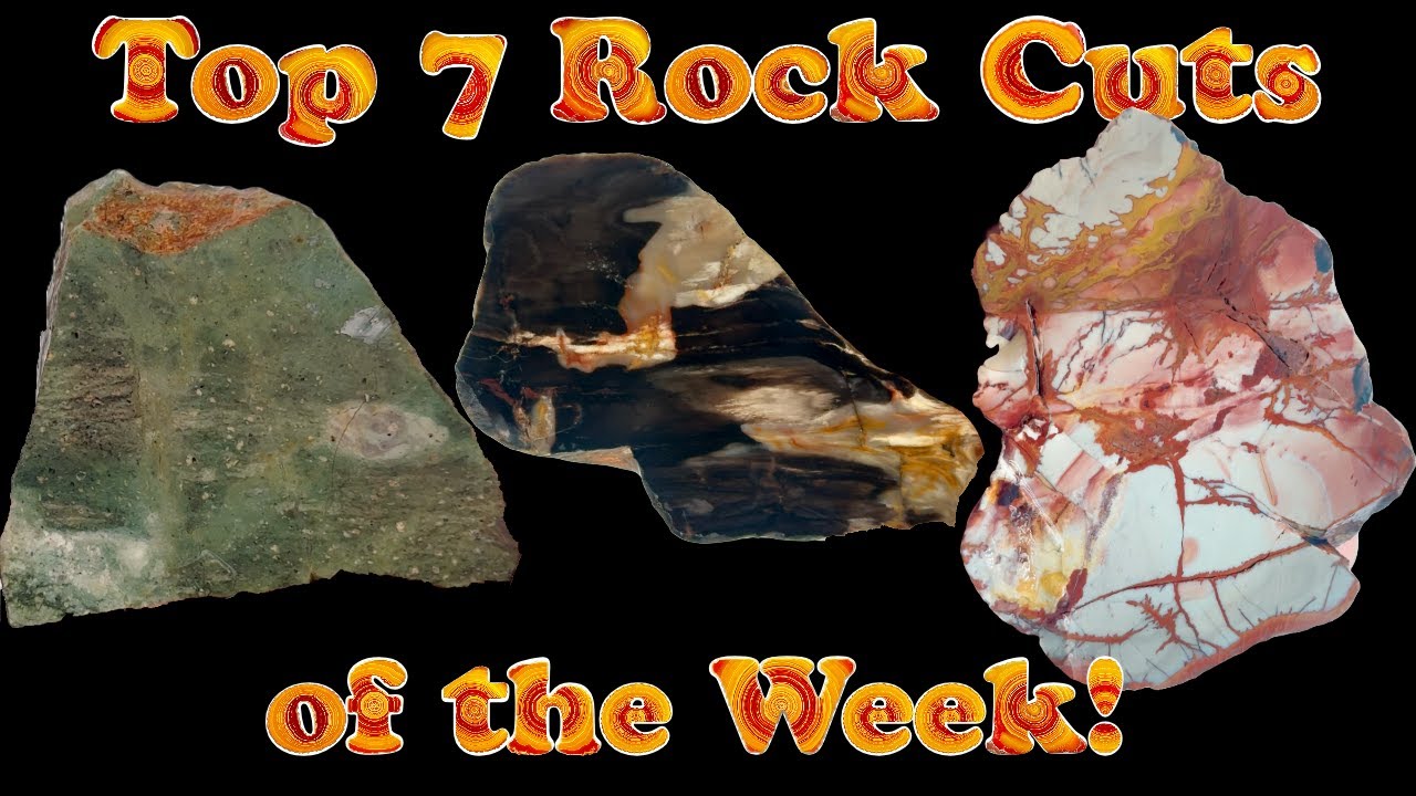 Top 7 Rock Cuts! Petrified Wood w/ Opal, Lahontan Jasper, Rainbow Wonderstone, Breccias, More!!