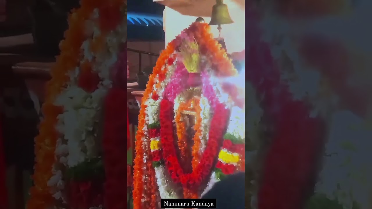 Siddapaji Whatsapp status video - Siddappji Kandaya Video Song | Mantheswmy Song | Malavalill Madeva