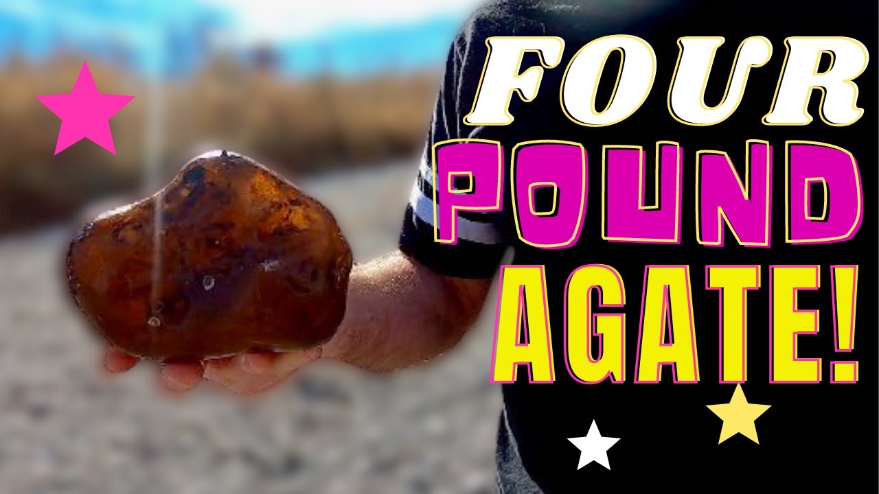 Four-pound AGATE and other TREASURES: Rockhounding the Yellowstone River