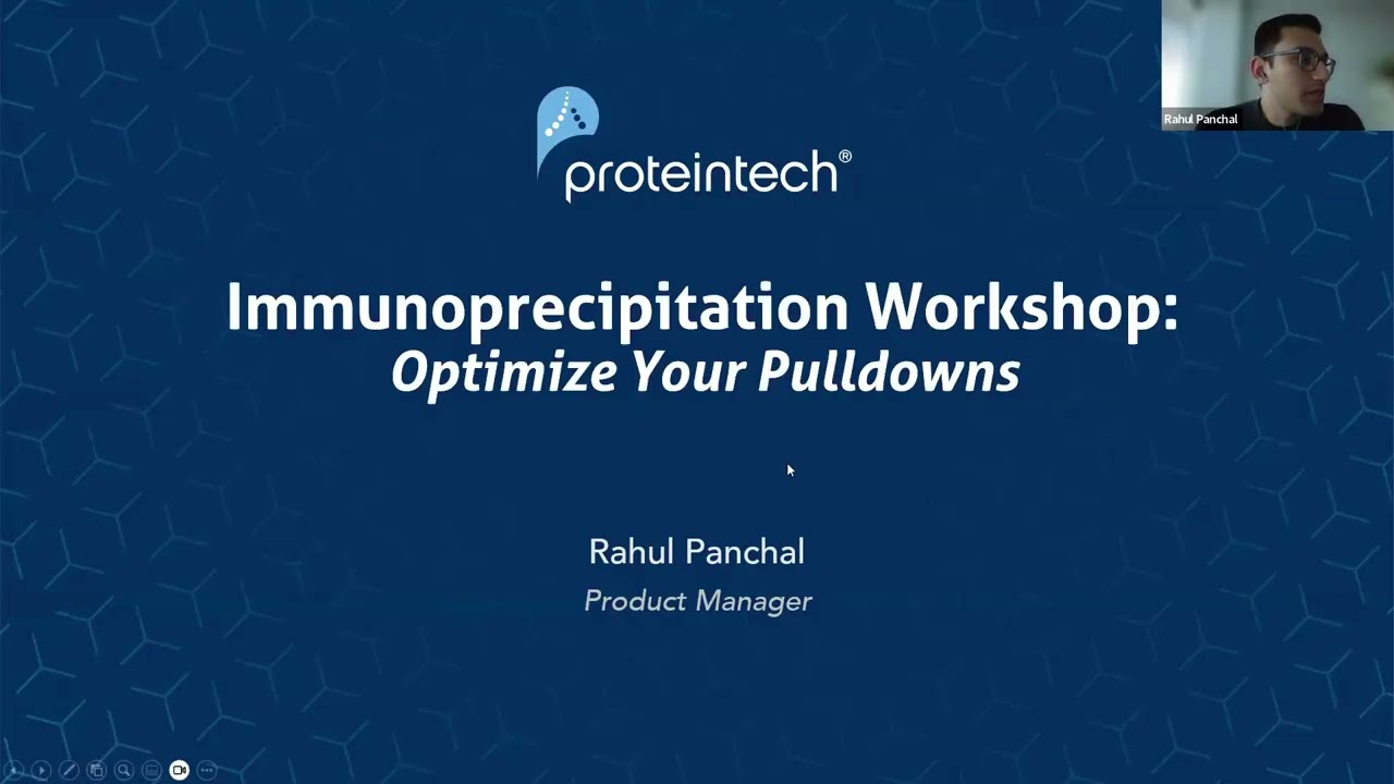 【Proteintech網路研討會】Immunoprecipitation Workshop  Optimize Your Pulldowns