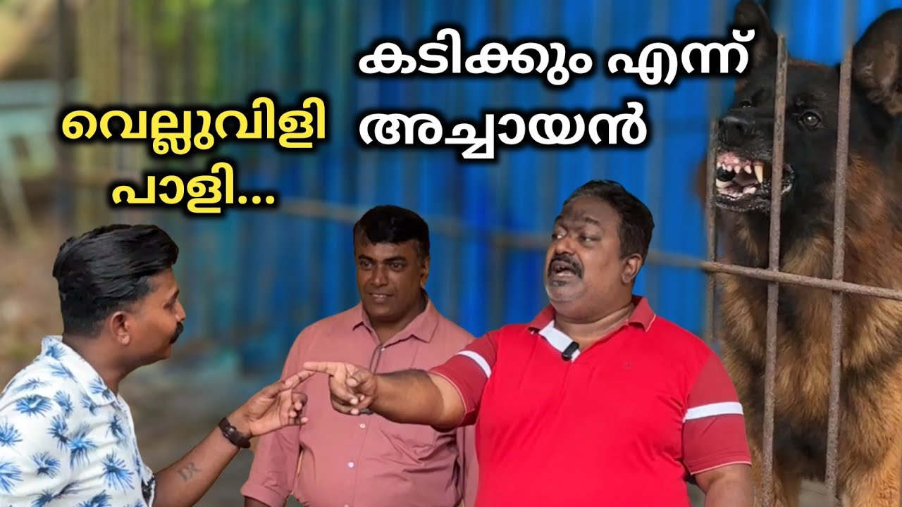 പെരുമ്പാവൂരിൽ വീട്ടിൽ കേറി ഡോഗിനെ അഴിച്ചു... Dog challenge.. leash talks