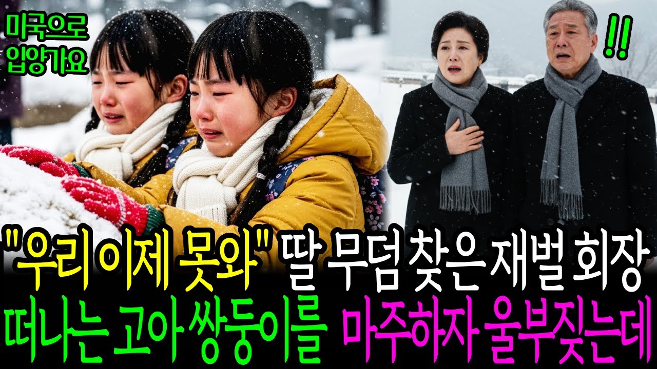 엄마 우리 이제 못와 …미국 입양가요 딸 무덤 찾은 재벌 회장 떠나는 고아 쌍둥이를 마주하자 울부짖는데….ㅣ시니어사연ㅣ인생사연ㅣ인생이야기ㅣ오디오북