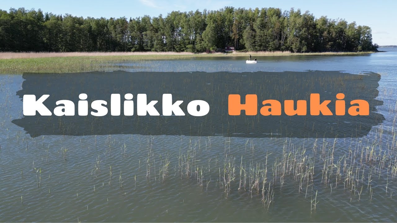 Kaislikko haukia etsim&auml;ss&auml; [ Hauen heittokalastusta merell&auml; alkukes&auml;st&auml; | Spinneri kalastusta ]